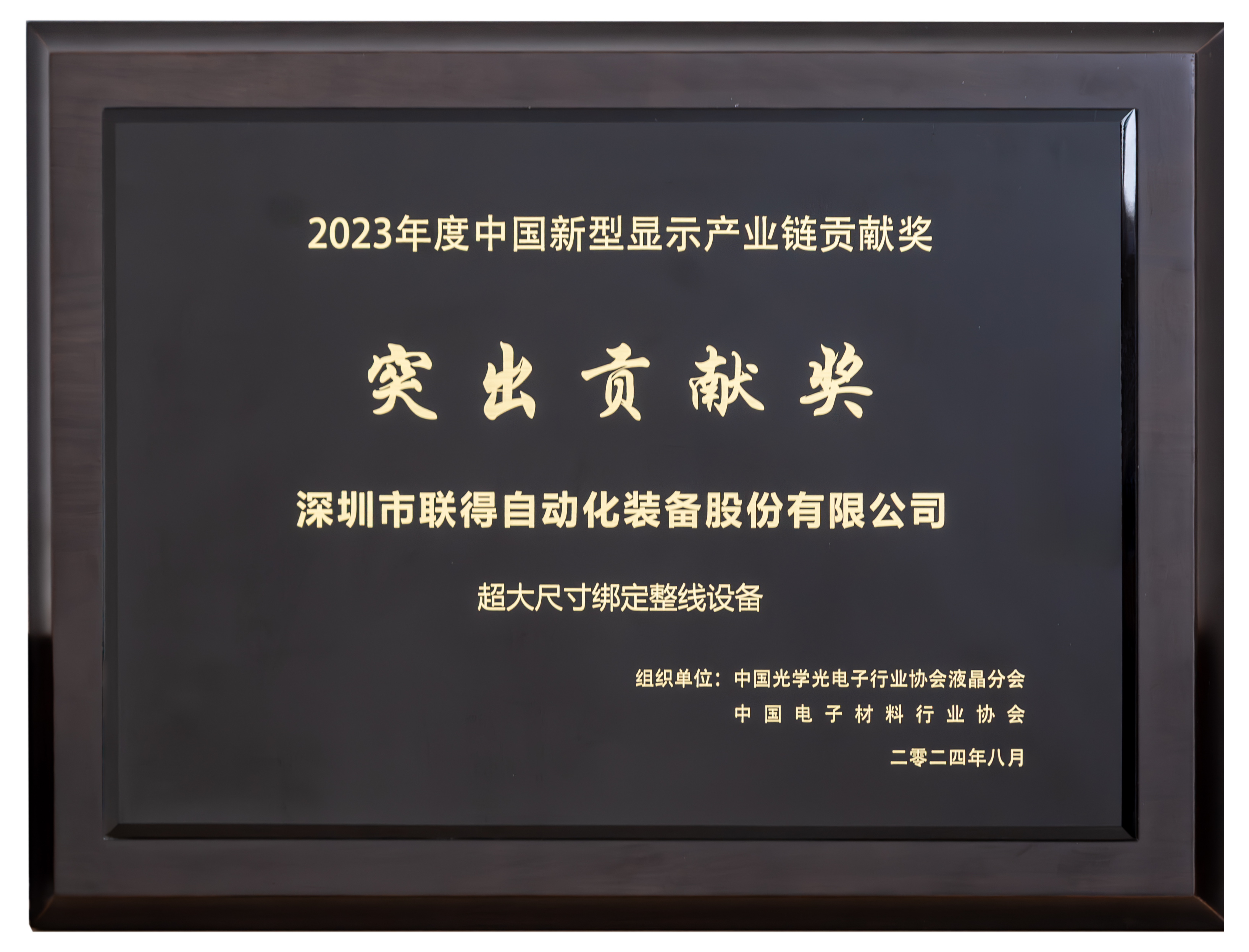 1726114203676148.png 中國新型顯示產(chǎn)業(yè)鏈貢獻獎-突出貢獻獎.png